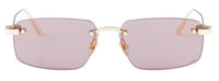 DIOR CDior S4U Sunglasses