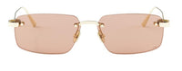 DIOR CDior S4U Sunglasses