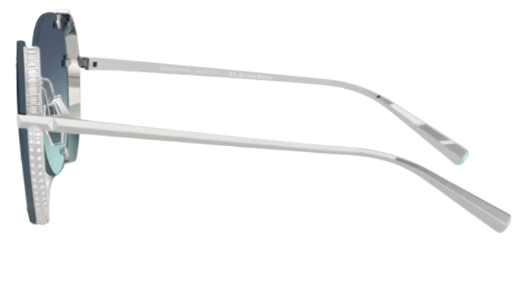 Tiffany & Co TF3110KB Sunglasses