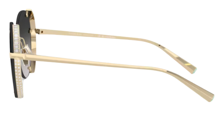 Tiffany & Co TF3110KB Sunglasses
