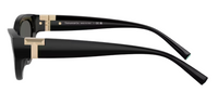 Tiffany & Co TF4225U Sunglasses