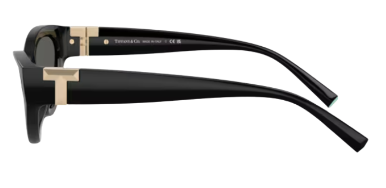 Tiffany & Co TF4225U Sunglasses