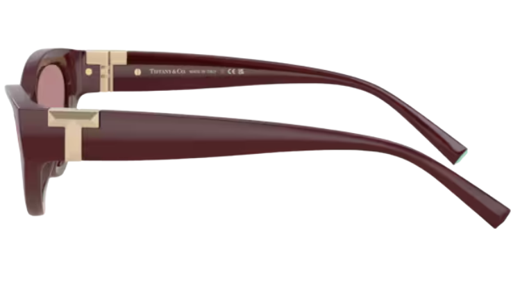 Tiffany & Co TF4225U Sunglasses