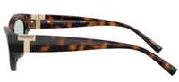 Tiffany & Co TF4225U Sunglasses