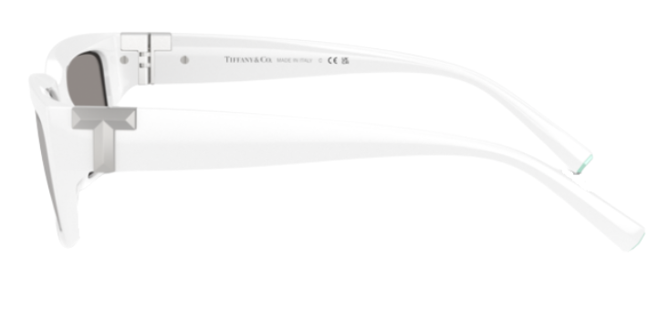 Tiffany & Co TF4226U Sunglasses