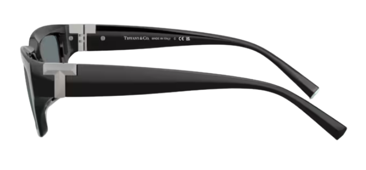 Tiffany & Co TF4226U Sunglasses
