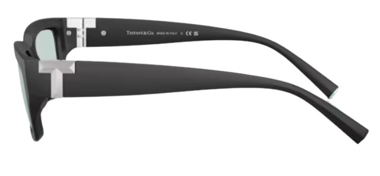 Tiffany & Co TF4226U Sunglasses