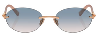 Zonnebril Tiffany & Co TF3104D