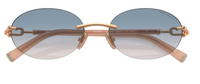 Zonnebril Tiffany & Co TF3104D