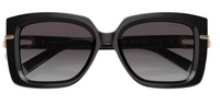 Zonnebrillen Tiffany & Co TF4199