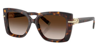 Zonnebrillen Tiffany & Co TF4199