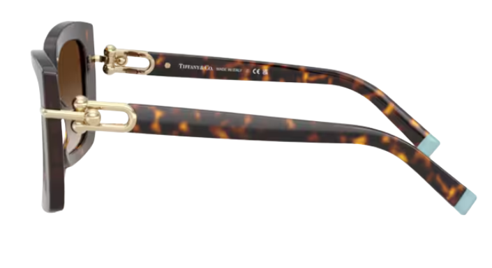 Zonnebrillen Tiffany & Co TF4199