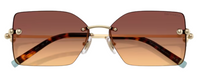 Sunglasses Tiffany & Co TF3088