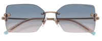 Sunglasses Tiffany & Co TF3088