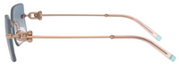 Sunglasses Tiffany & Co TF3088
