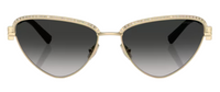 Occhiali da sole Tiffany & Co TF3107KB