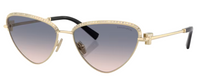 Occhiali da sole Tiffany & Co TF3107KB