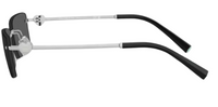 Tiffany & Co TF3108B Sunglasses