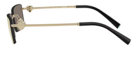 Tiffany & Co TF3108B Sunglasses