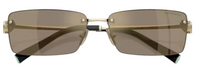 Tiffany & Co TF3108B Sunglasses