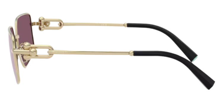 Occhiali da sole Tiffany & Co TF3111