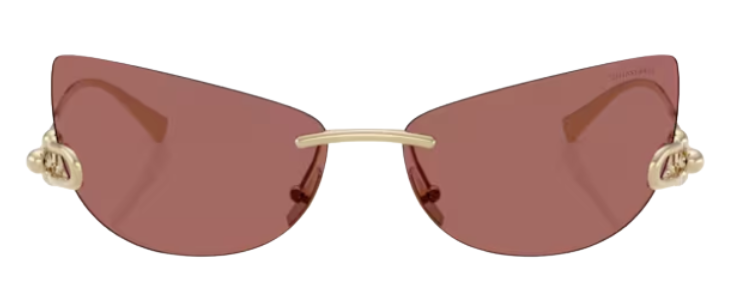Zonnebrillen Tiffany & Co TF3112K