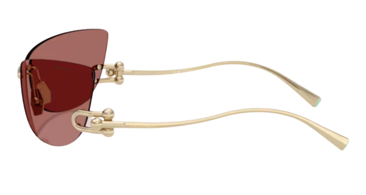 Zonnebrillen Tiffany & Co TF3112K