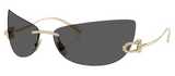 Gafas de sol Tiffany & Co TF3112K
