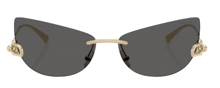 Zonnebrillen Tiffany & Co TF3112K