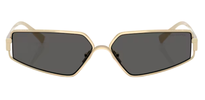 Tiffany & Co TF3113KB Sunglasses