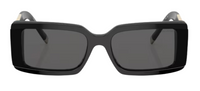 Tiffany & Co TF4197 Sunglasses