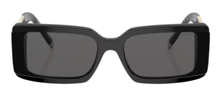 Tiffany & Co TF4197 Sunglasses
