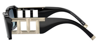 Tiffany & Co TF4197 Sunglasses