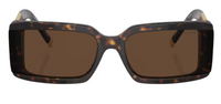 Tiffany & Co TF4197 Sunglasses