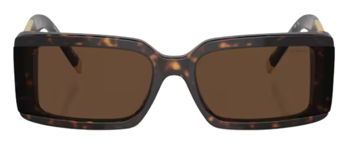 Tiffany & Co TF4197 Sunglasses