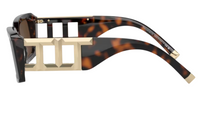 Tiffany & Co TF4197 Sunglasses