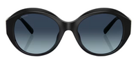 Tiffany & Co TF4227BU Sunglasses