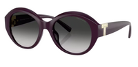 Tiffany & Co TF4227BU Sunglasses