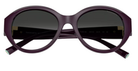 Tiffany & Co TF4227BU Sunglasses
