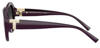 Tiffany & Co TF4227BU Sunglasses