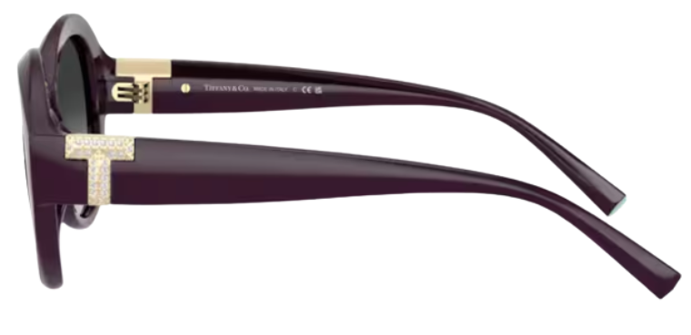 Tiffany & Co TF4227BU Sunglasses