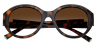 Tiffany & Co TF4227BU Sunglasses