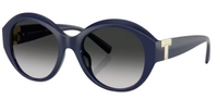 Tiffany & Co TF4227BU Sunglasses
