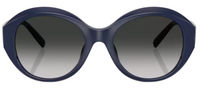 Tiffany & Co TF4227BU Sunglasses