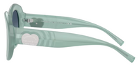 Tiffany & Co TF4228 Sunglasses