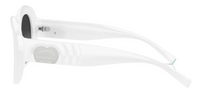 Tiffany & Co TF4228 Sunglasses