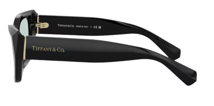 Tiffany & Co TF4230 Sunglasses