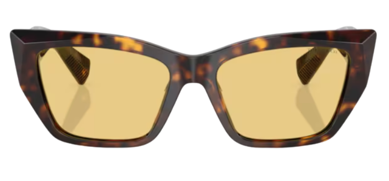 Tiffany & Co TF4230 Sunglasses