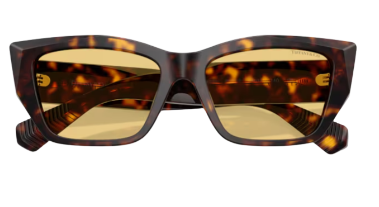 Tiffany & Co TF4230 Sunglasses
