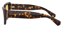 Tiffany & Co TF4230 Sunglasses